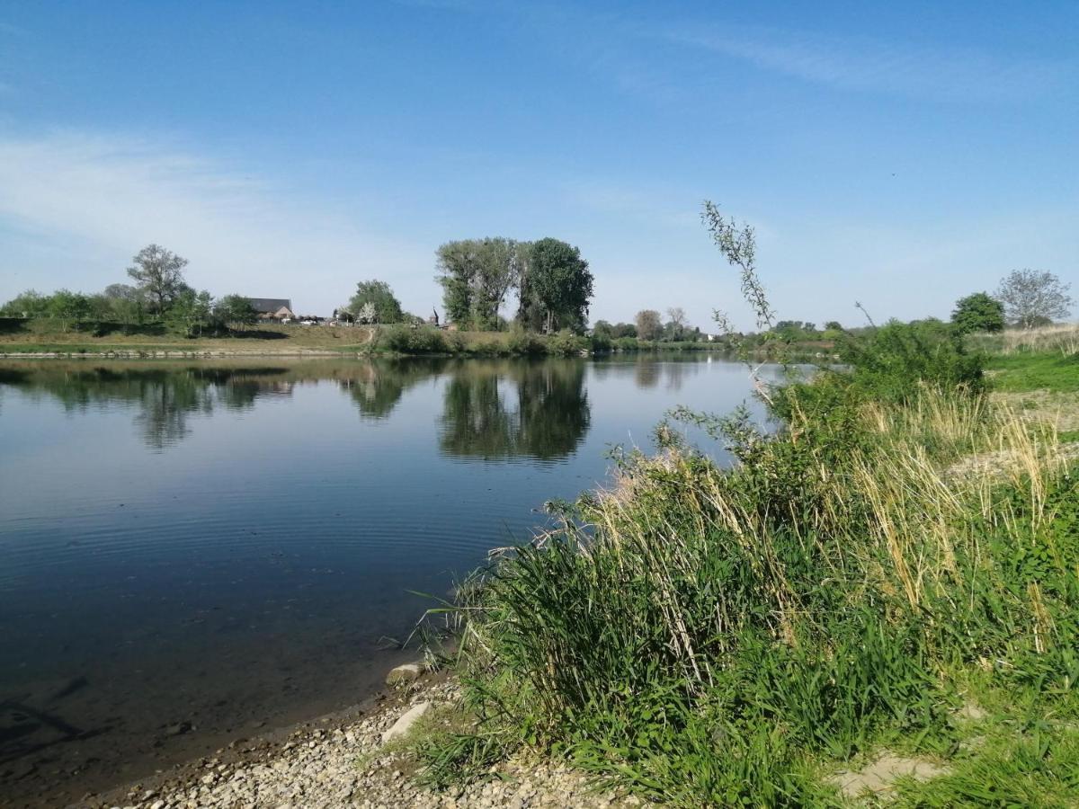 De Achtertuin Lägenhet Maasmechelen Exteriör bild